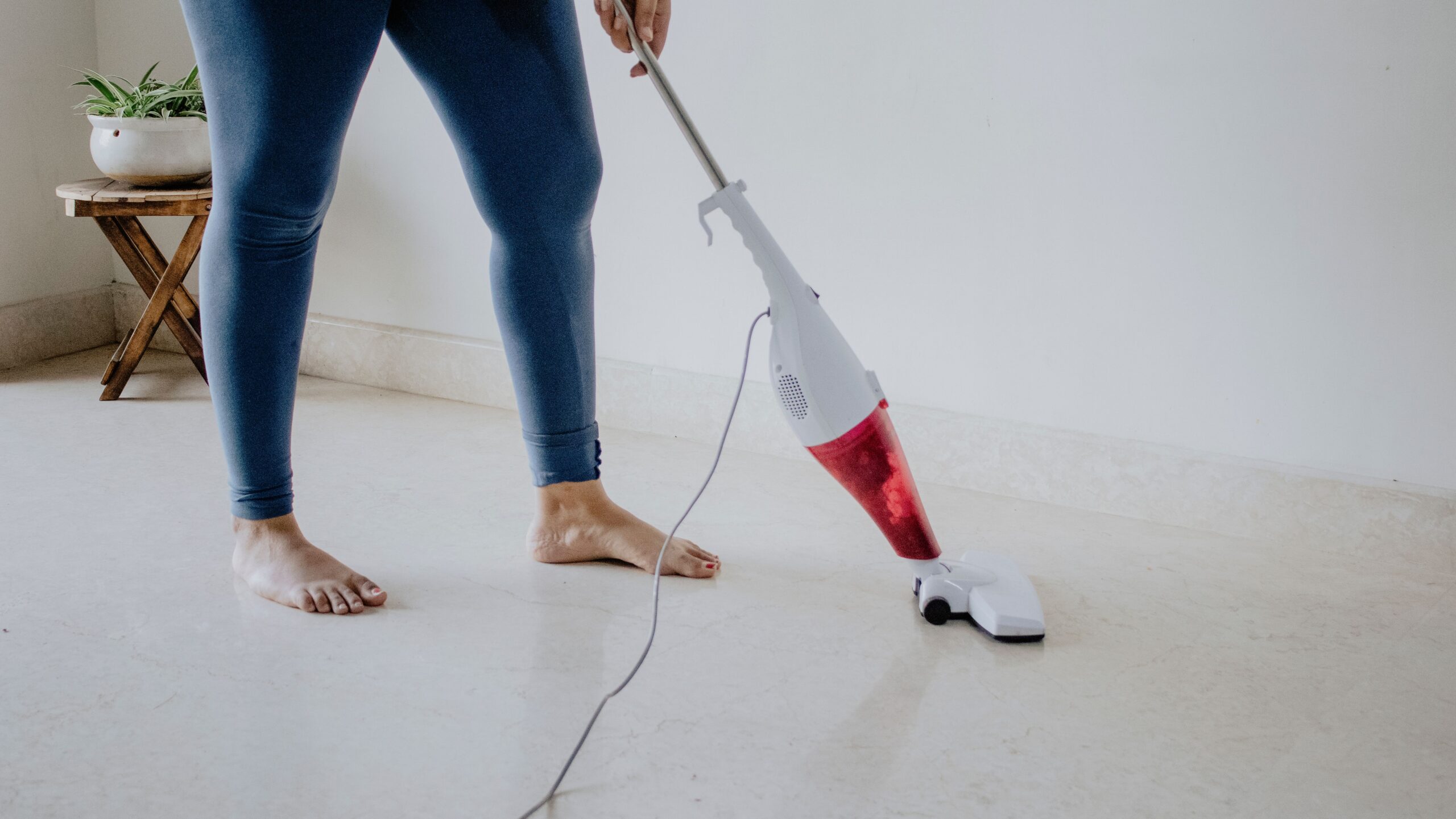 Brushing a dog to reduce shedding and keep pet hair off surfaces