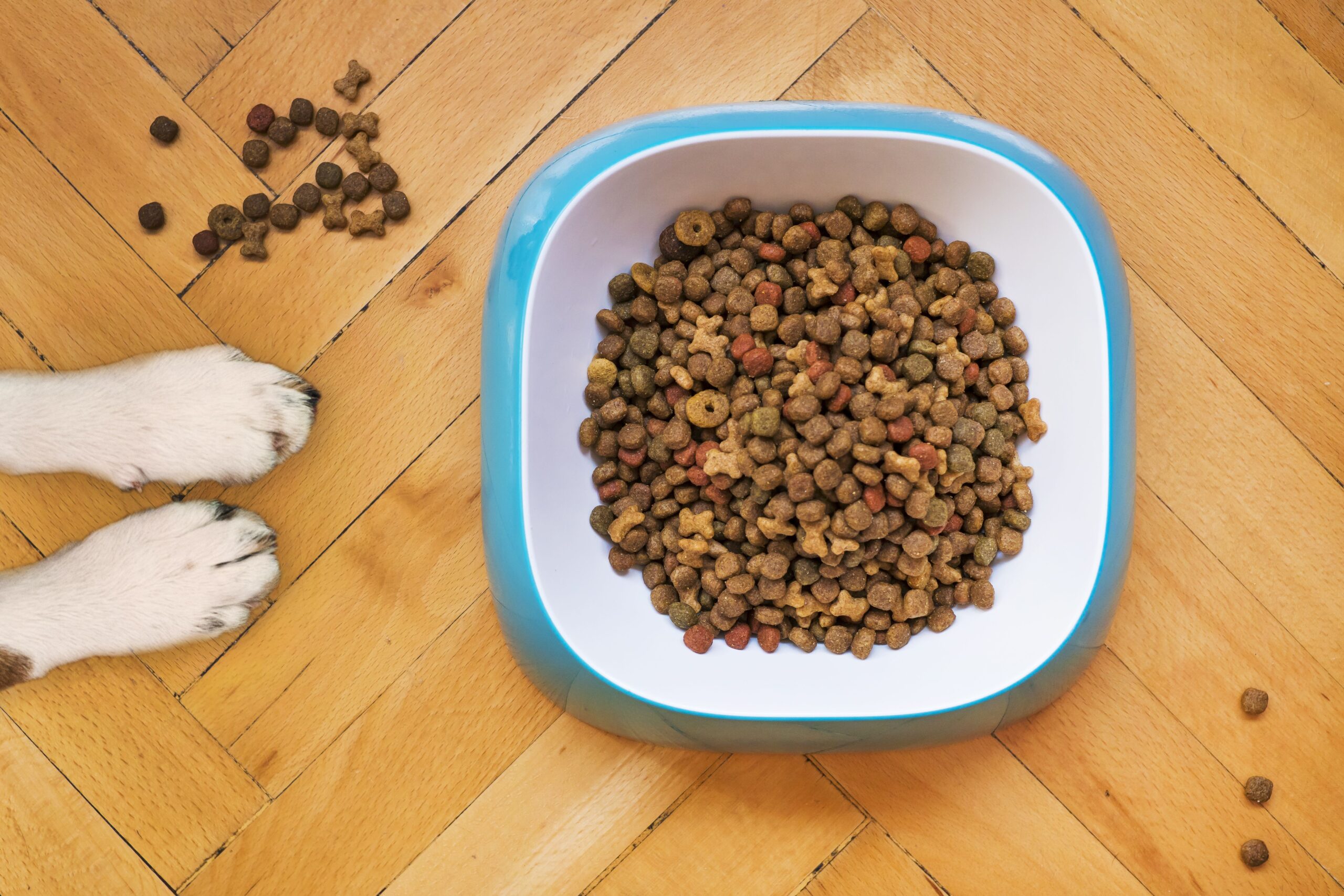 Buying larger bags of pet food to save money on pet food