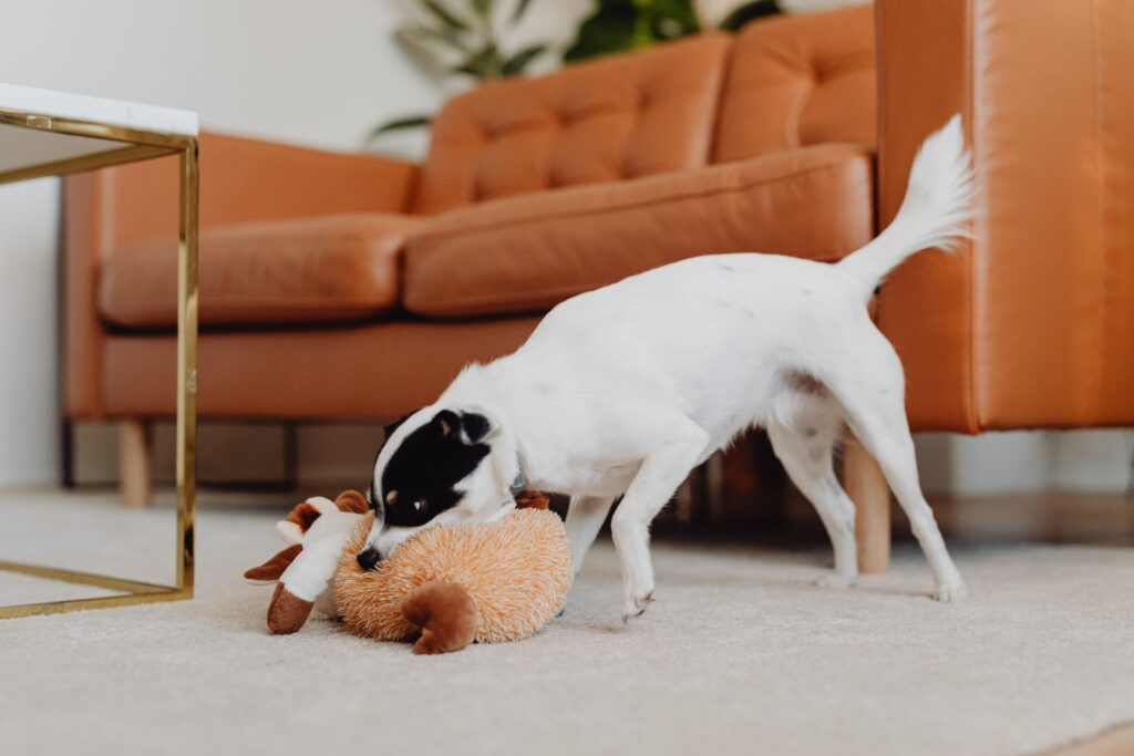 DIY dog puzzle toys made from household items