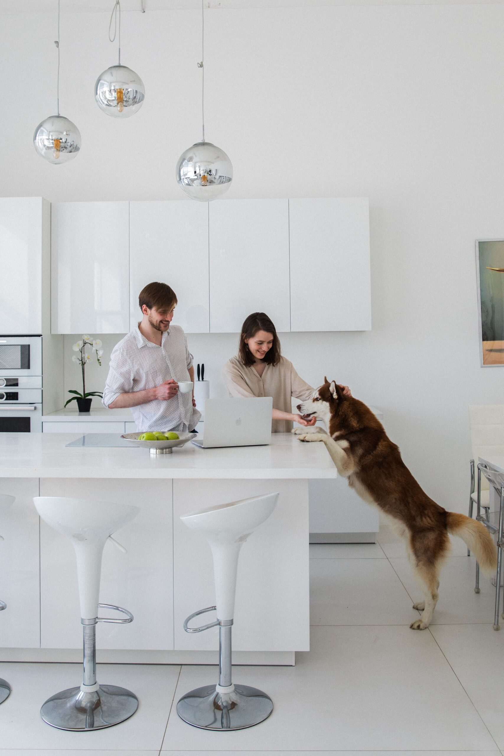 Dog food bin tucked into a cool lower kitchen cabinet