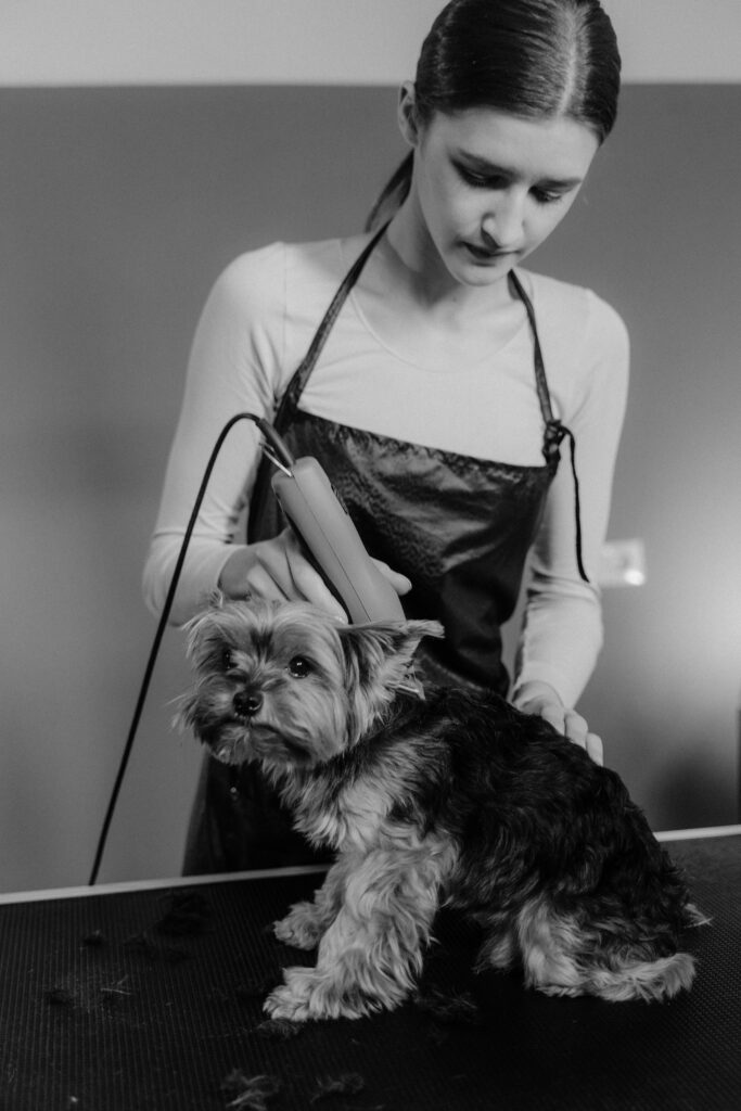 Dog grooming tools under $30 for home use
