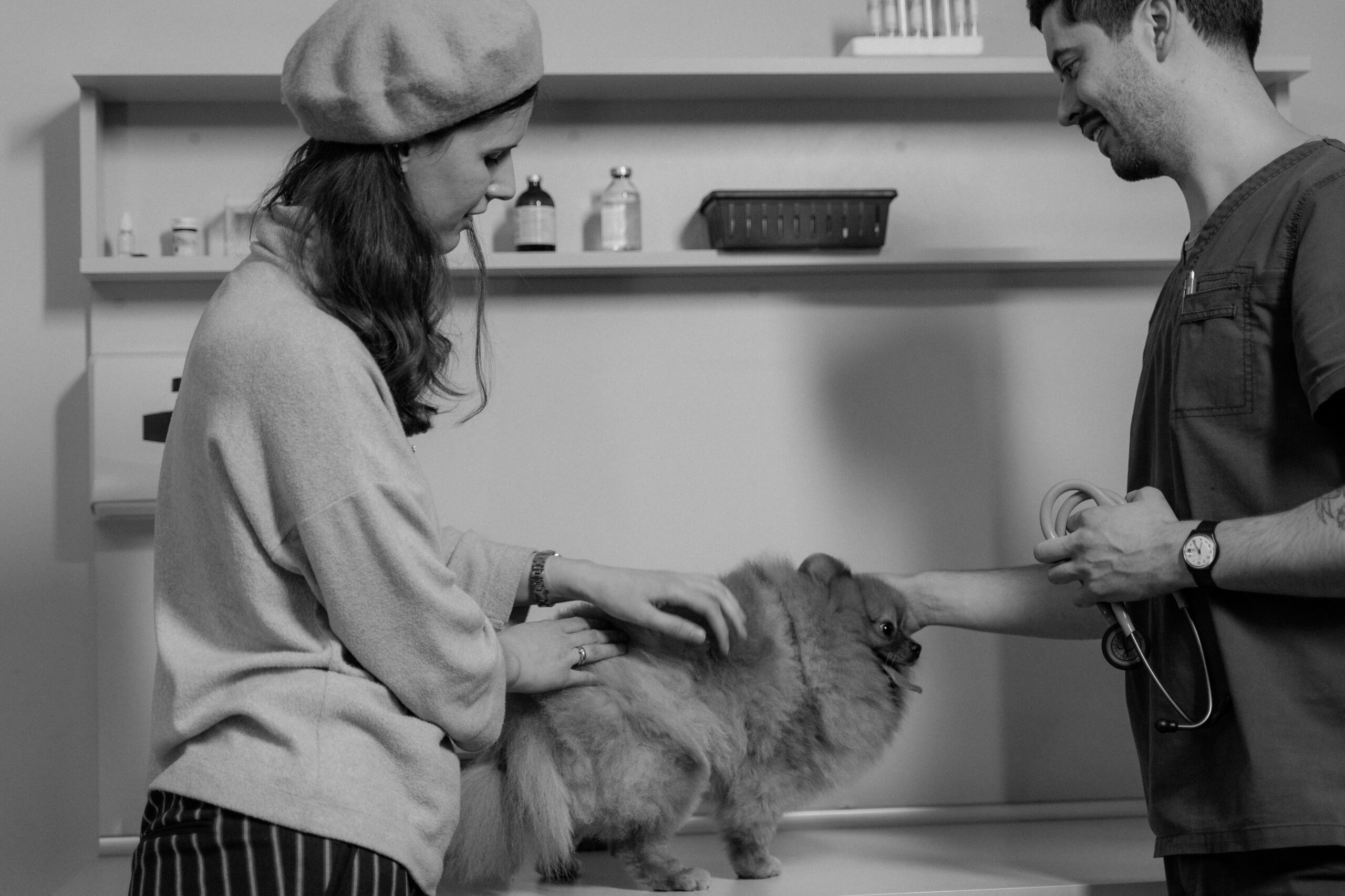 Dog getting a low-cost preventative checkup at the veterinarian