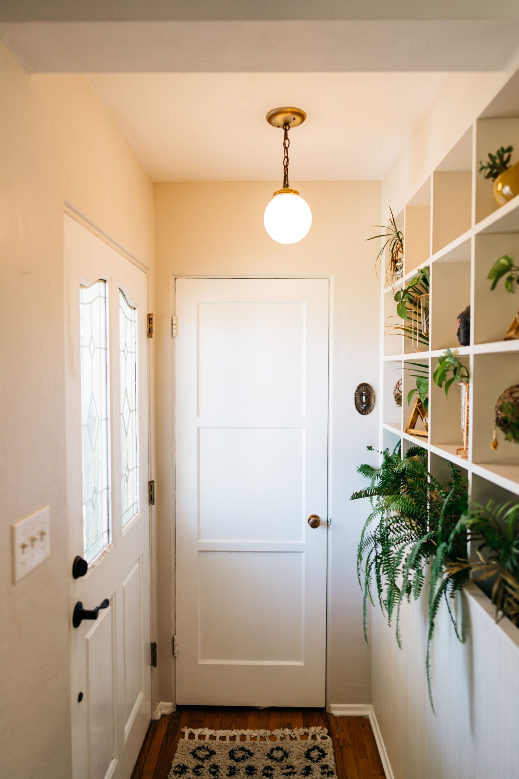 wall hooks for leashes near an apartment door