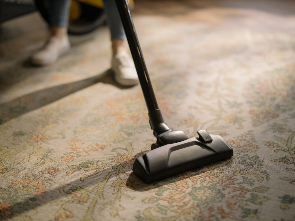How to keep pet hair off every surface in an apartment