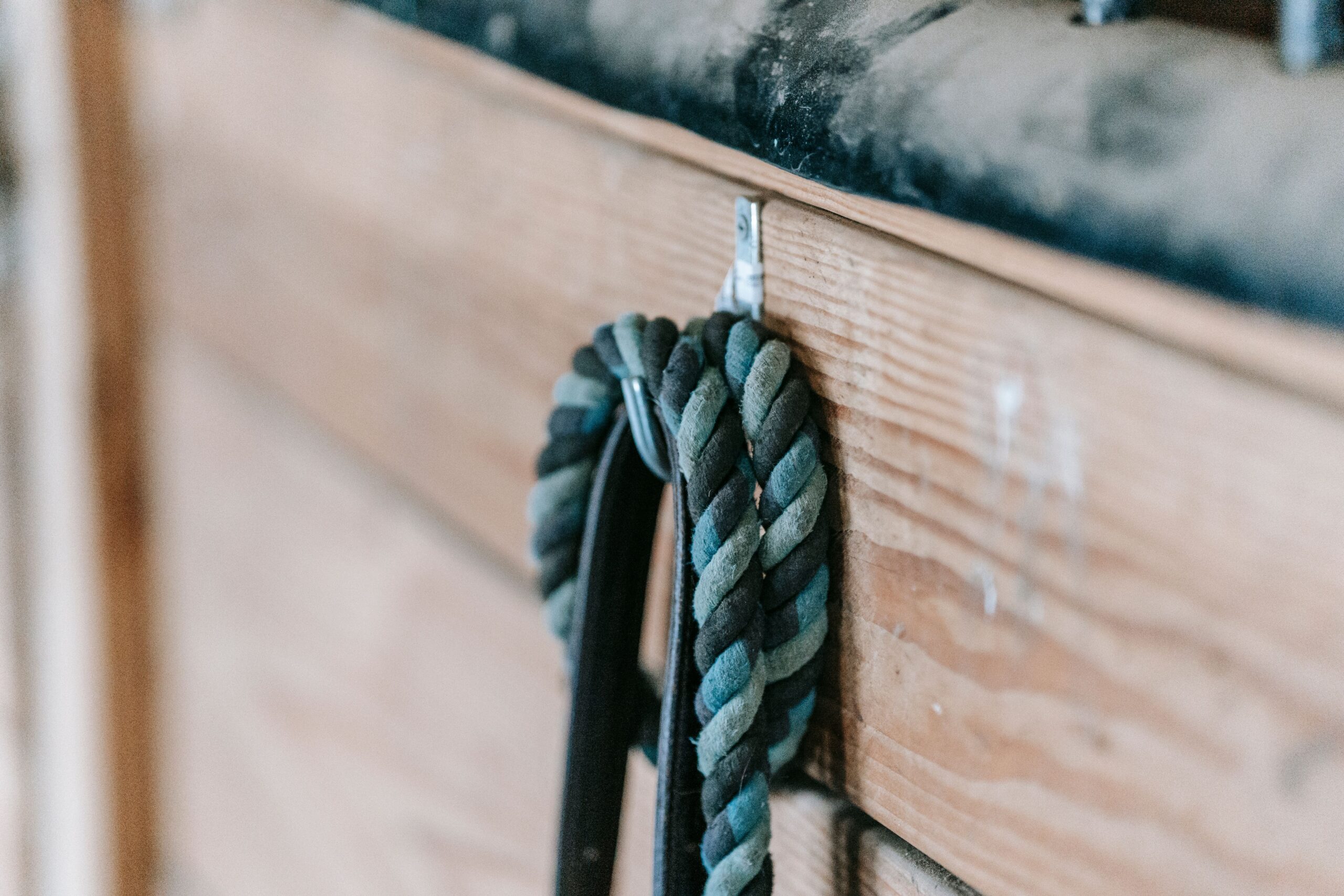 Leashes hung on renter-safe hooks in an entryway