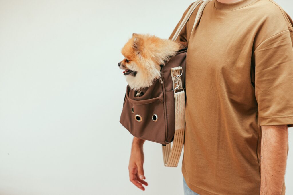 How to store and pack pet gear in a small space for travel