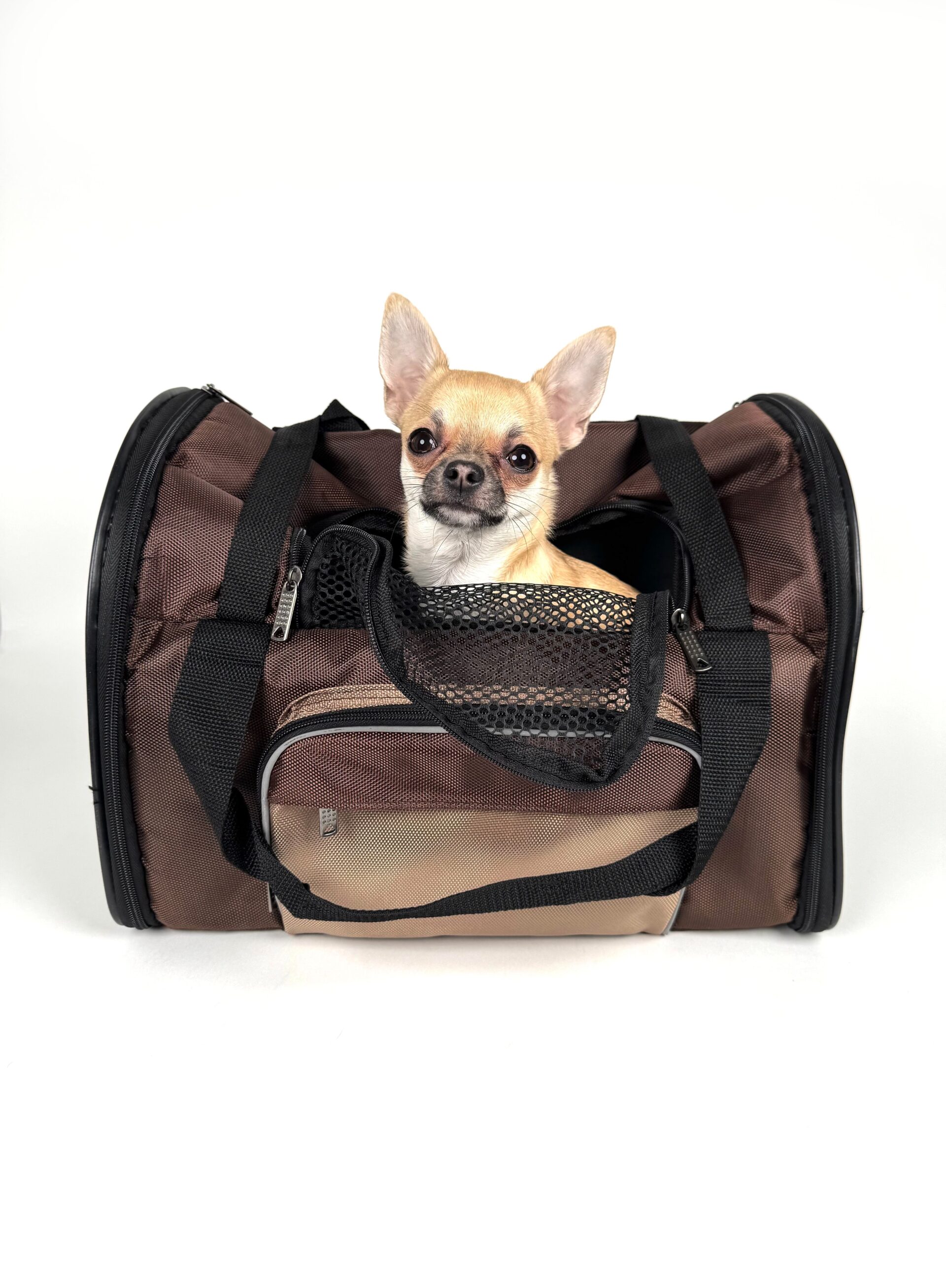 A pet carrier packed and ready for a trip