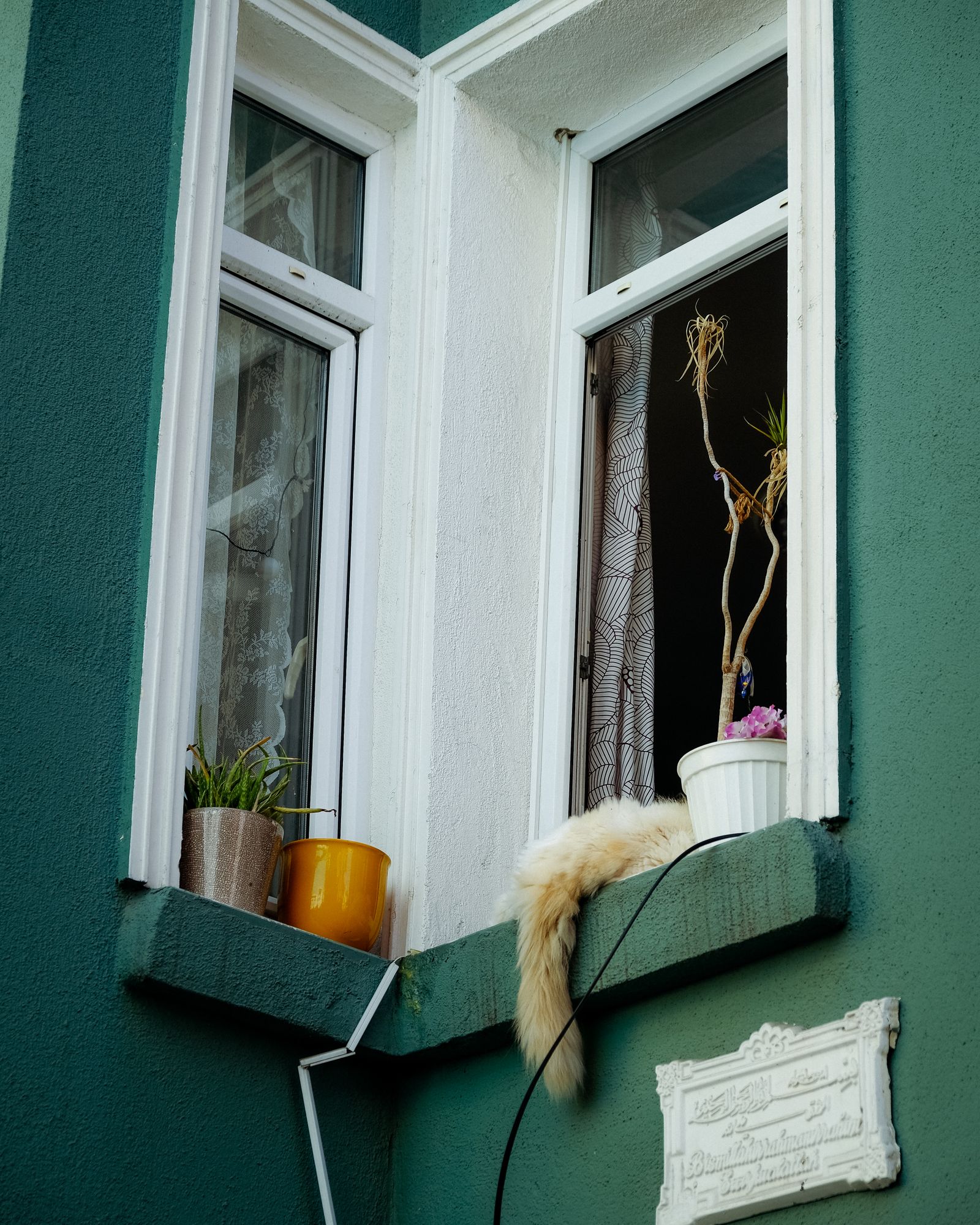 A dog bed tucked into a quiet corner of a small apartment