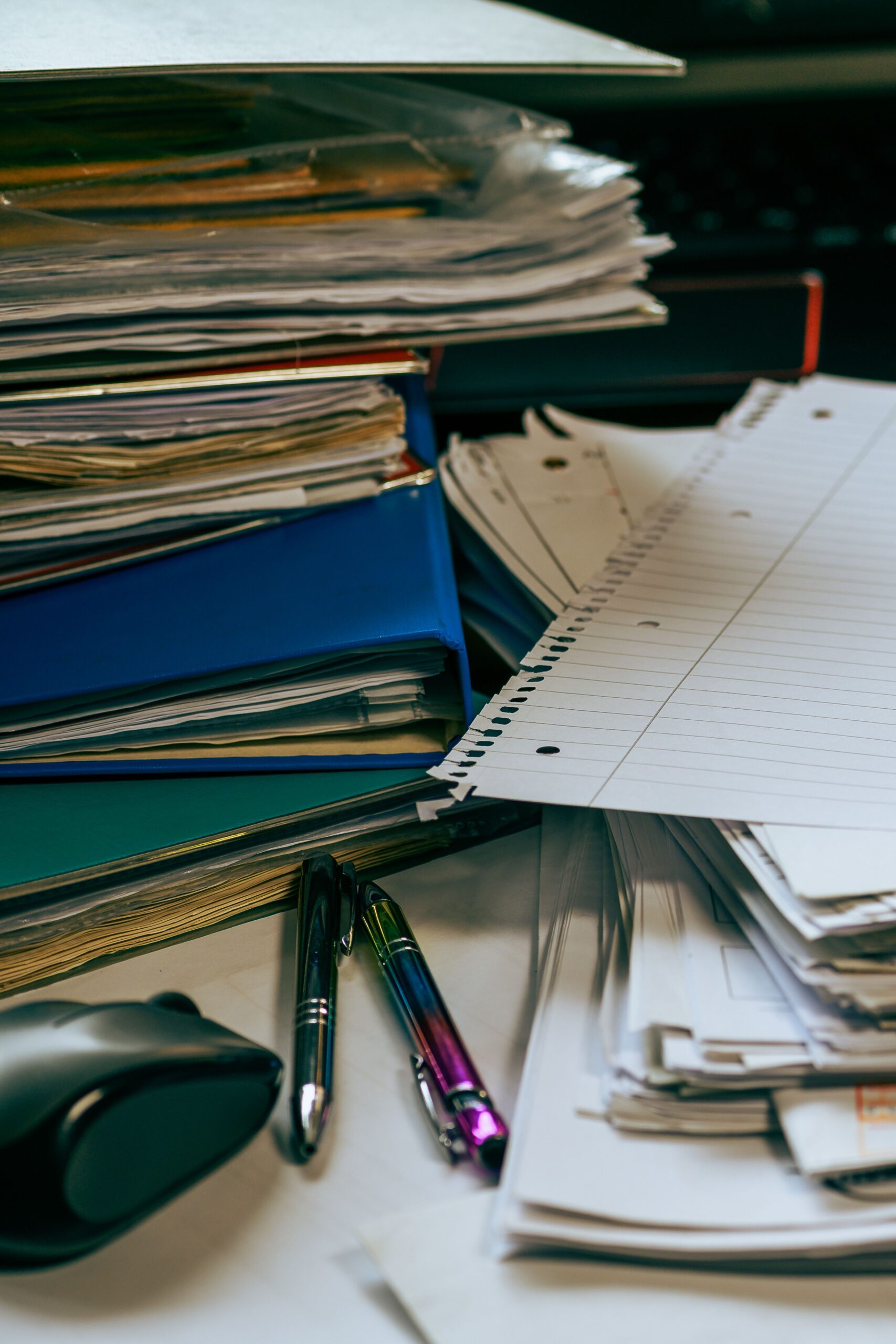 labeled folders to organize pet paperwork
