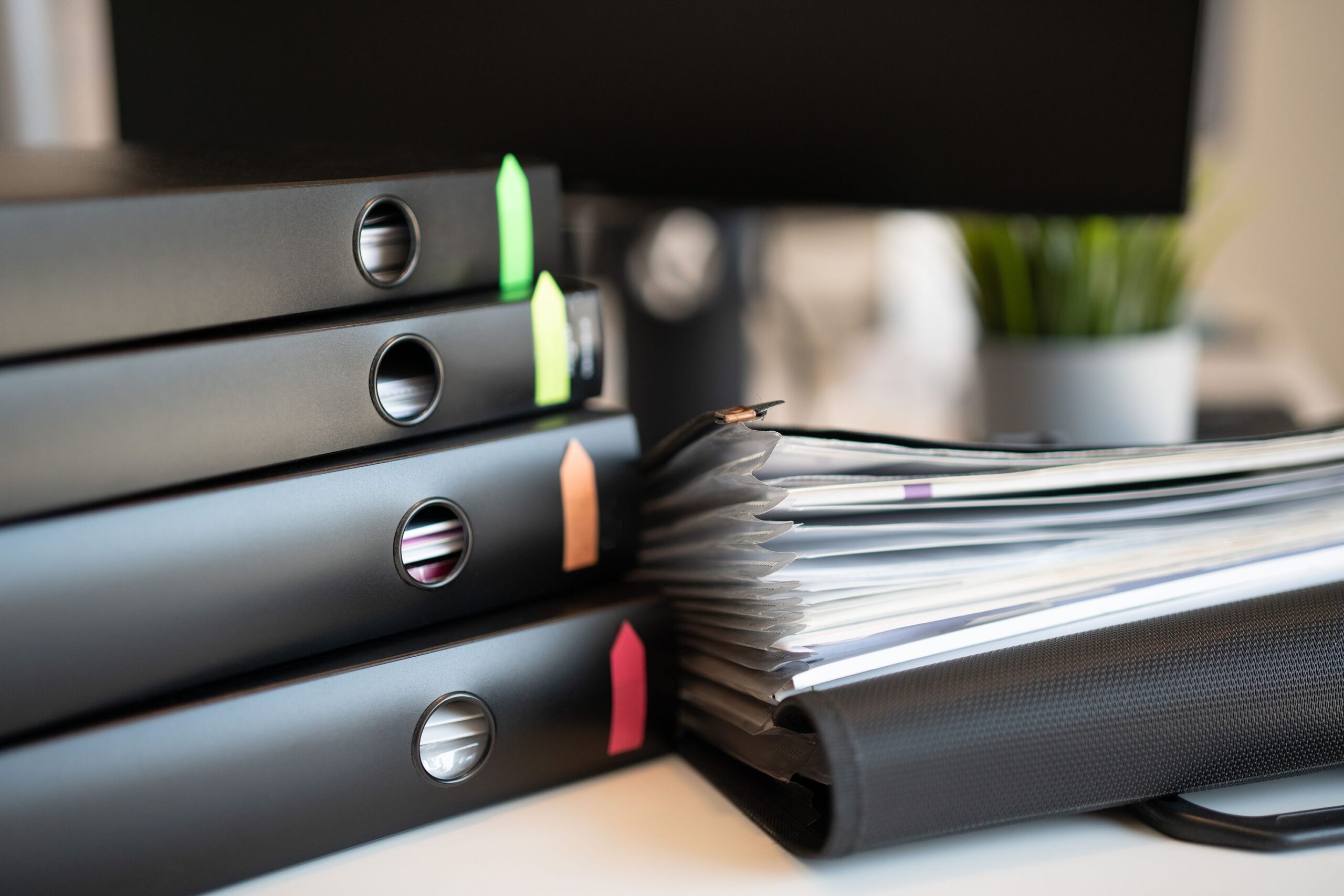 a binder system for pet vet records and meds