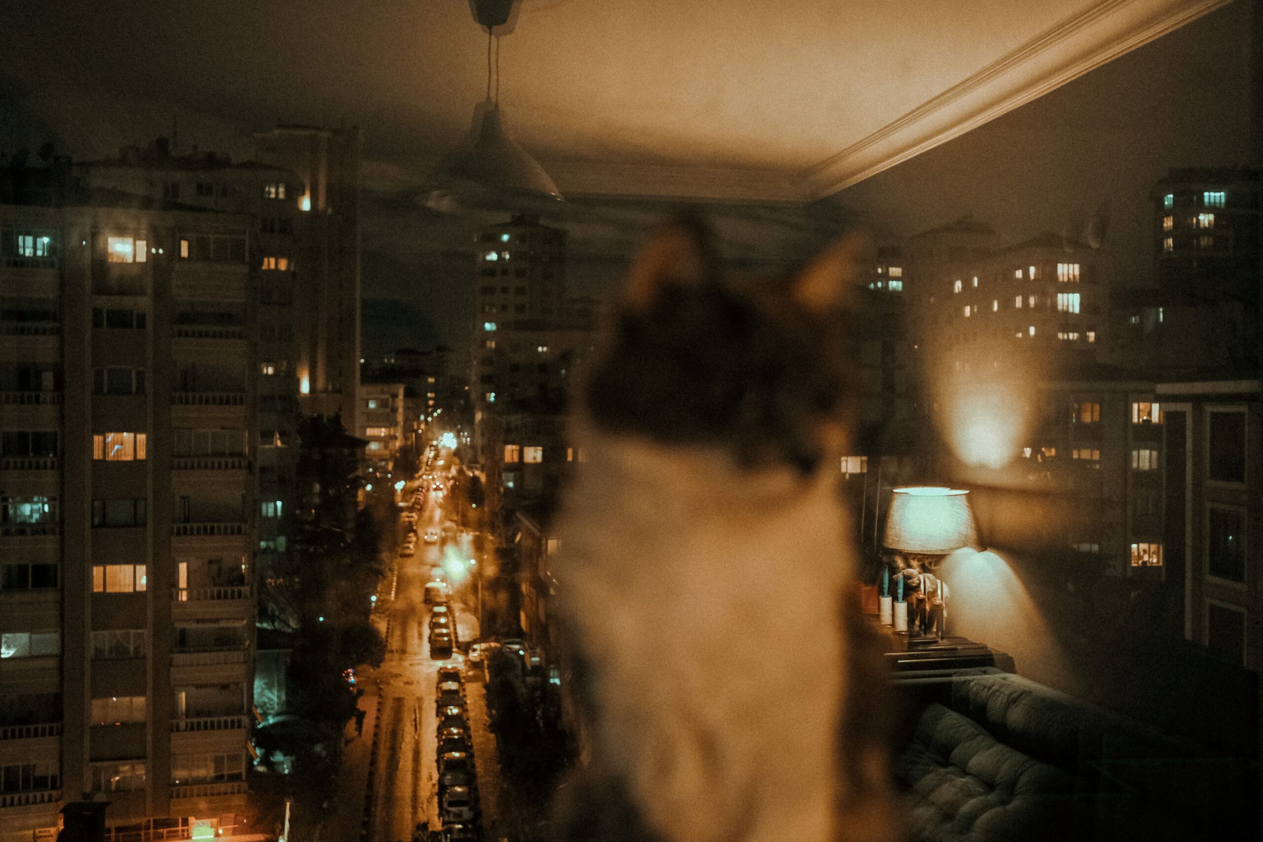 Removing toxic plants during apartment pet-proofing
