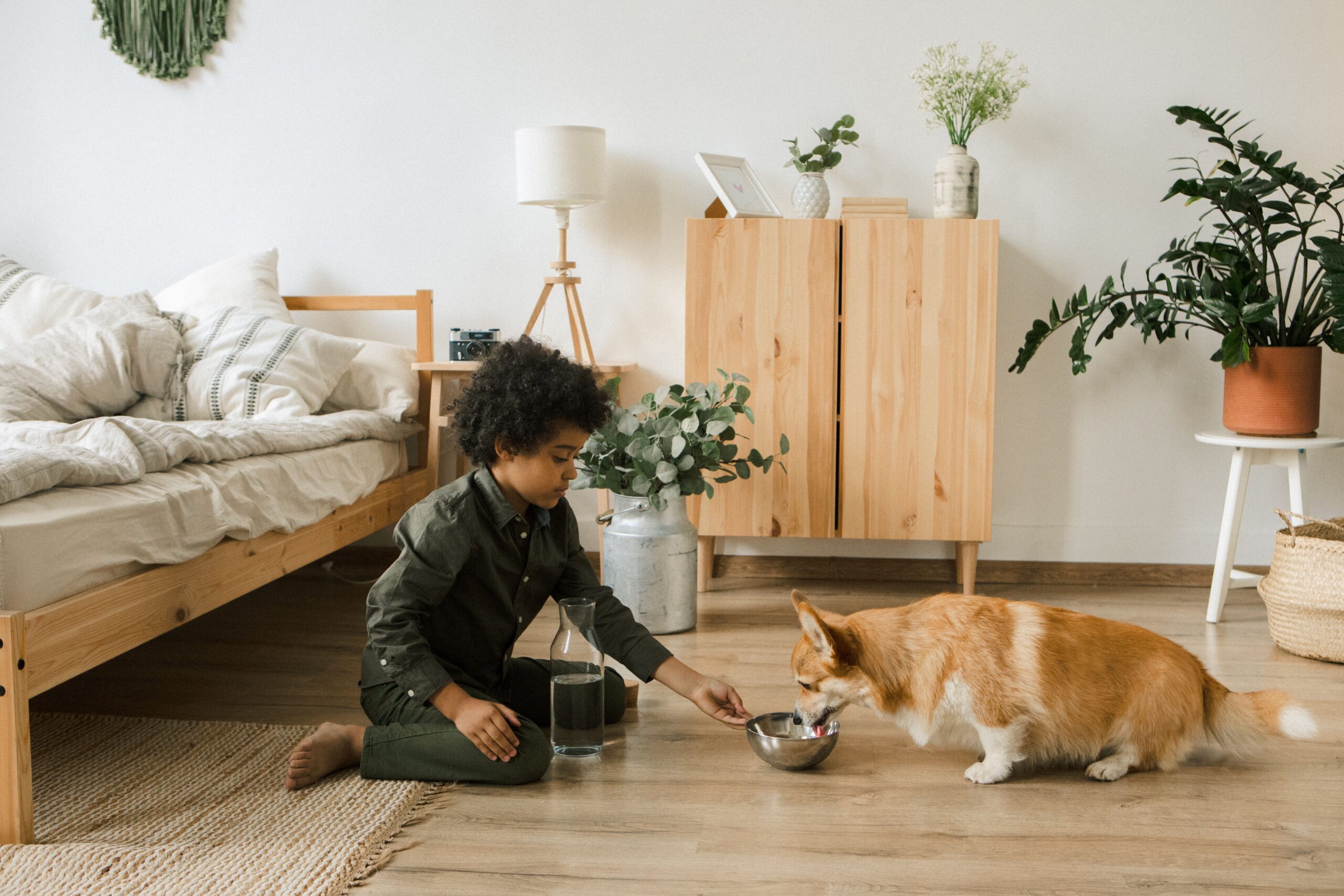 A raised pet feeding station that saves floor space