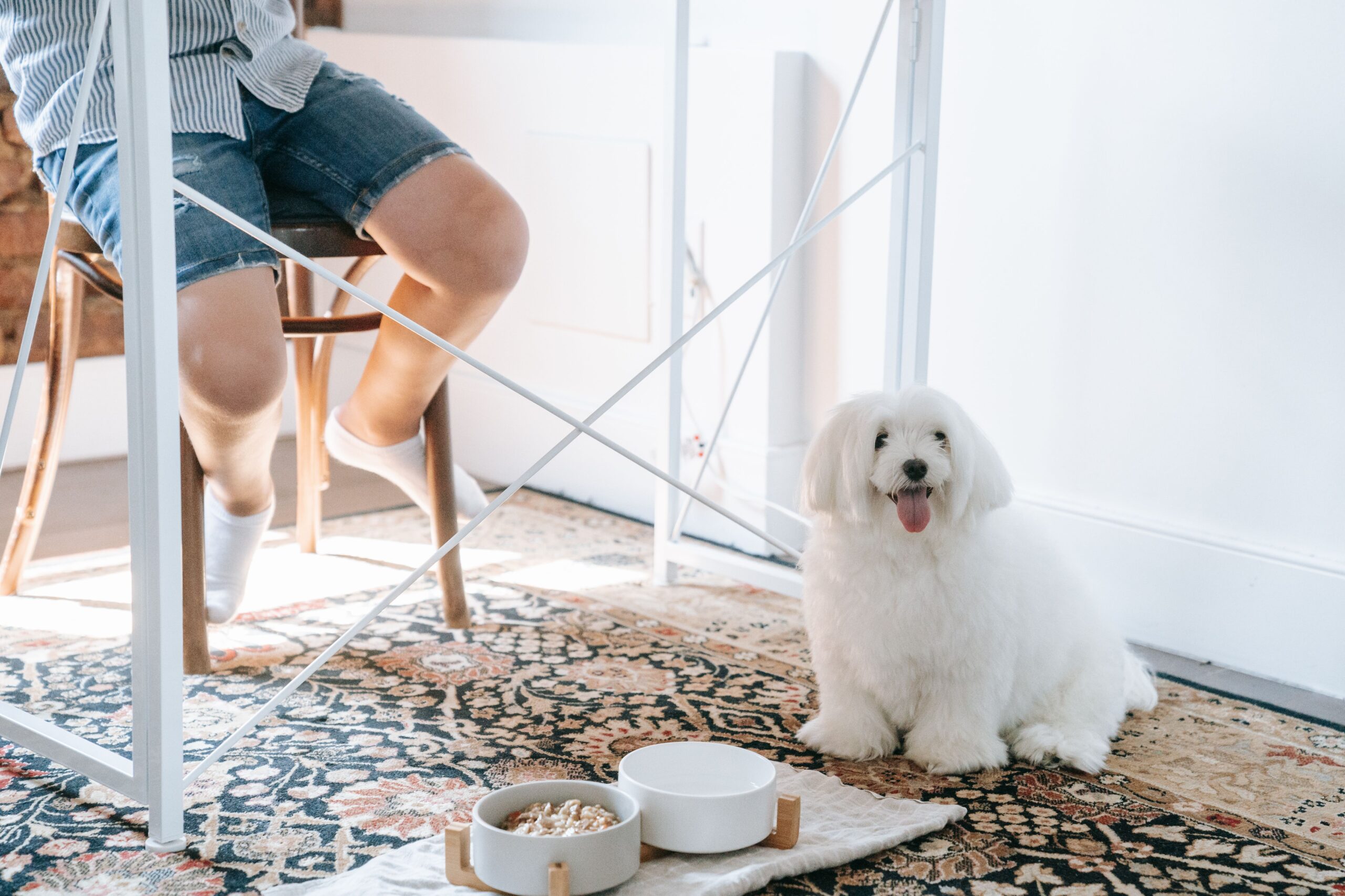 Comparing pet food labels for quality and value