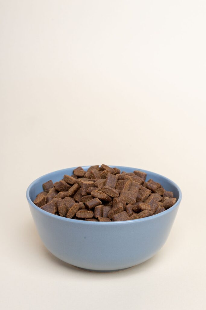 Bowl of dry dog kibble