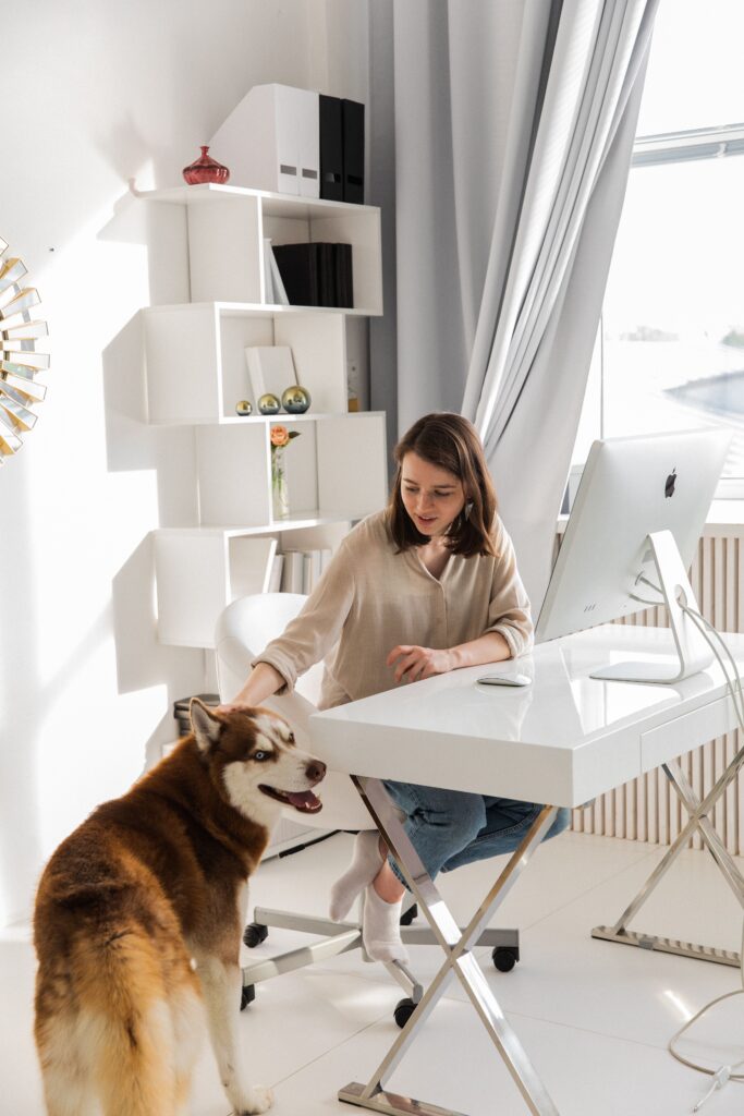 Organized small apartment pet storage with bins and supplies
