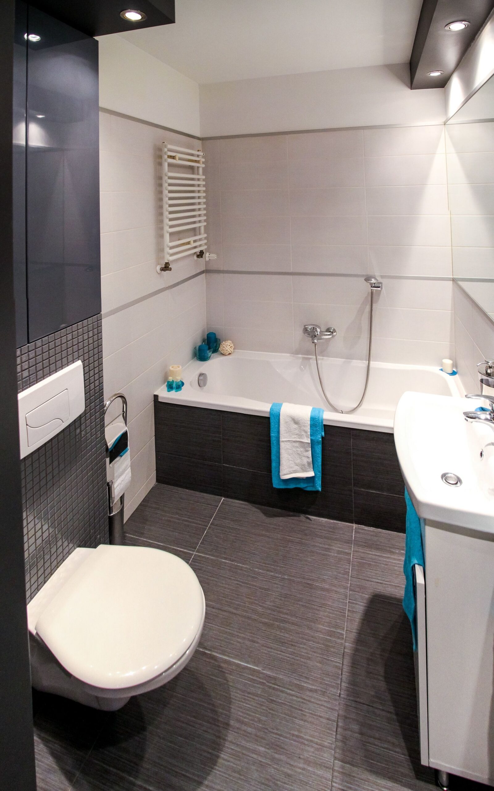 A compact small bathroom interior with space for a litter box