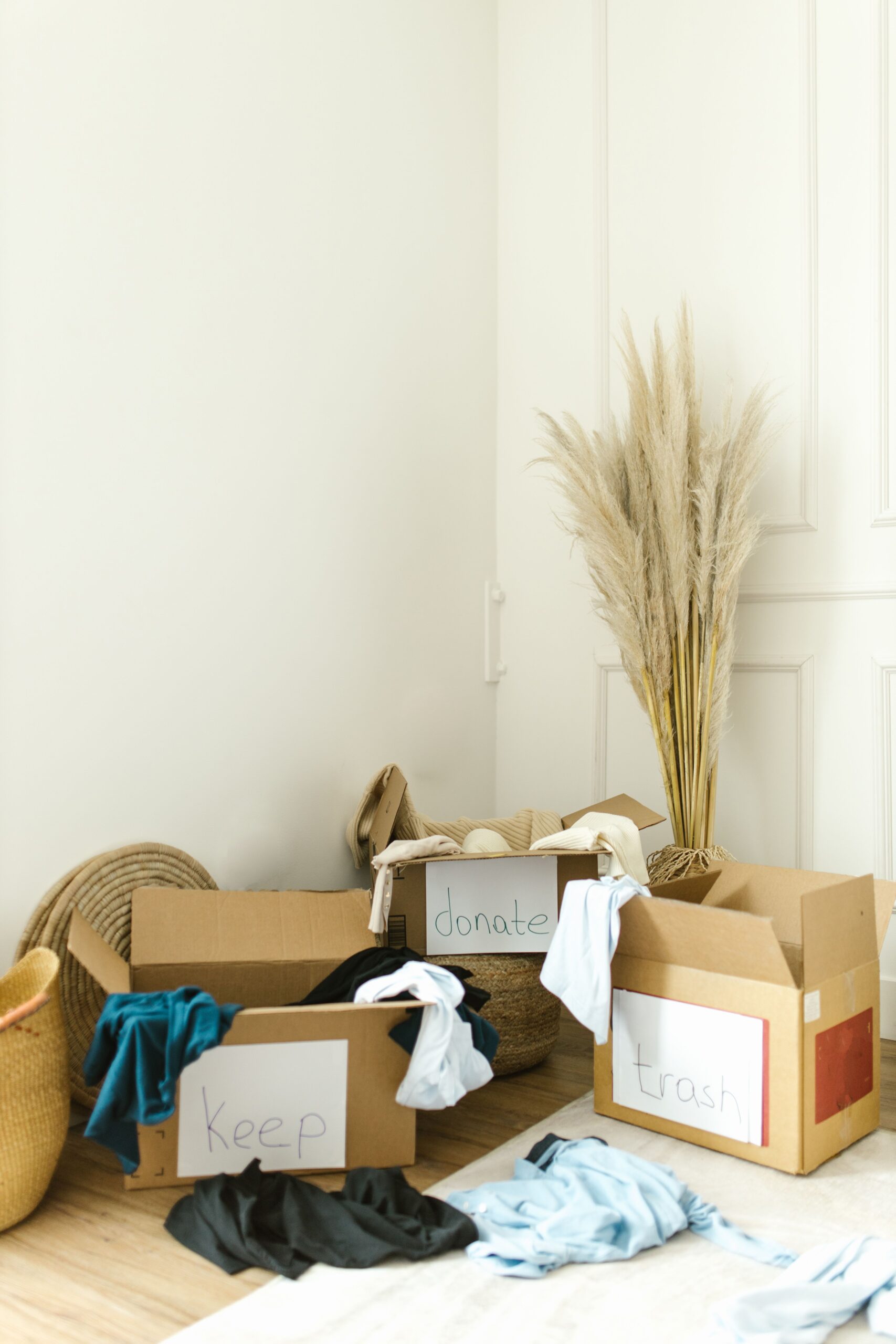 Sorting pet supplies into keep and donate boxes to declutter pet stuff