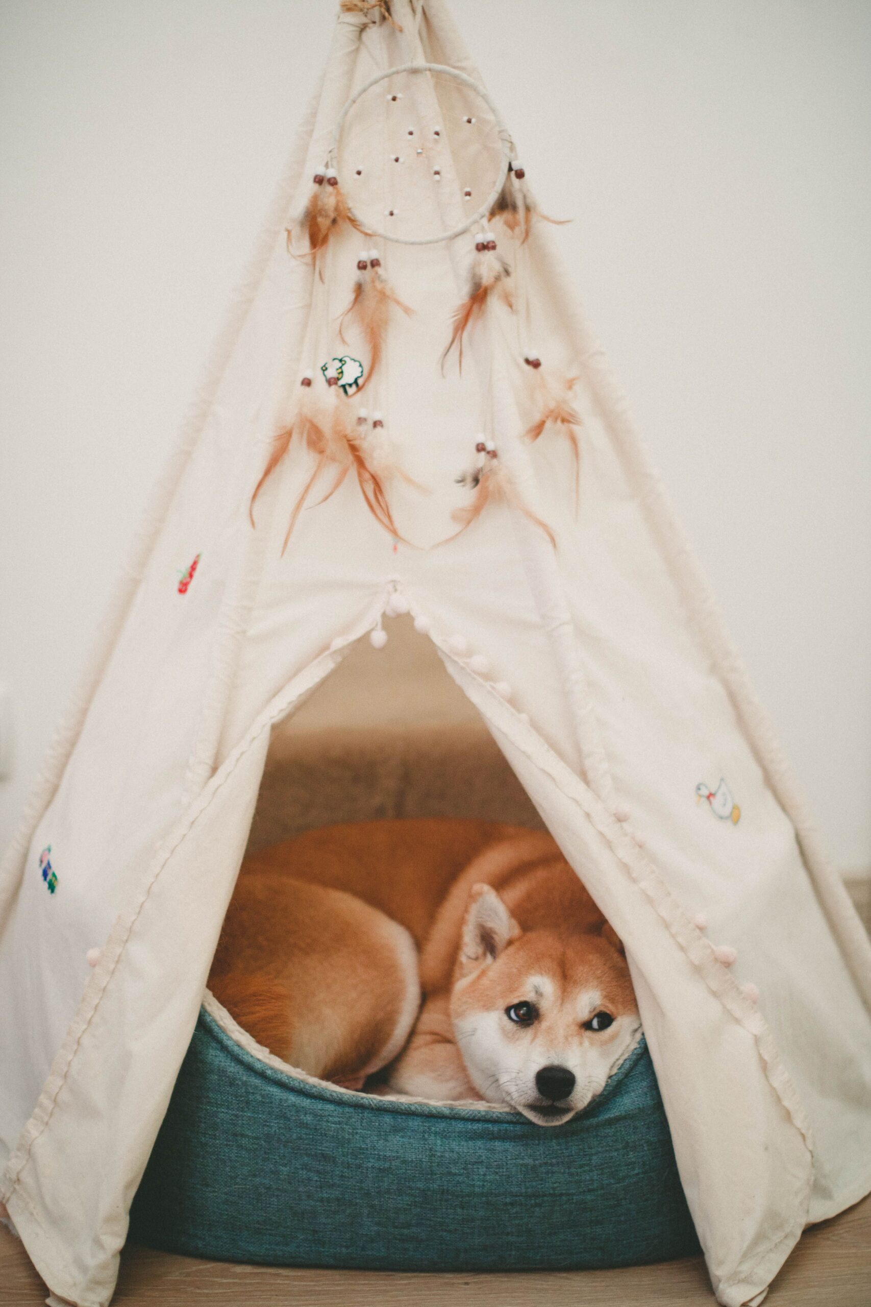 A pet space set up under a console table to save room