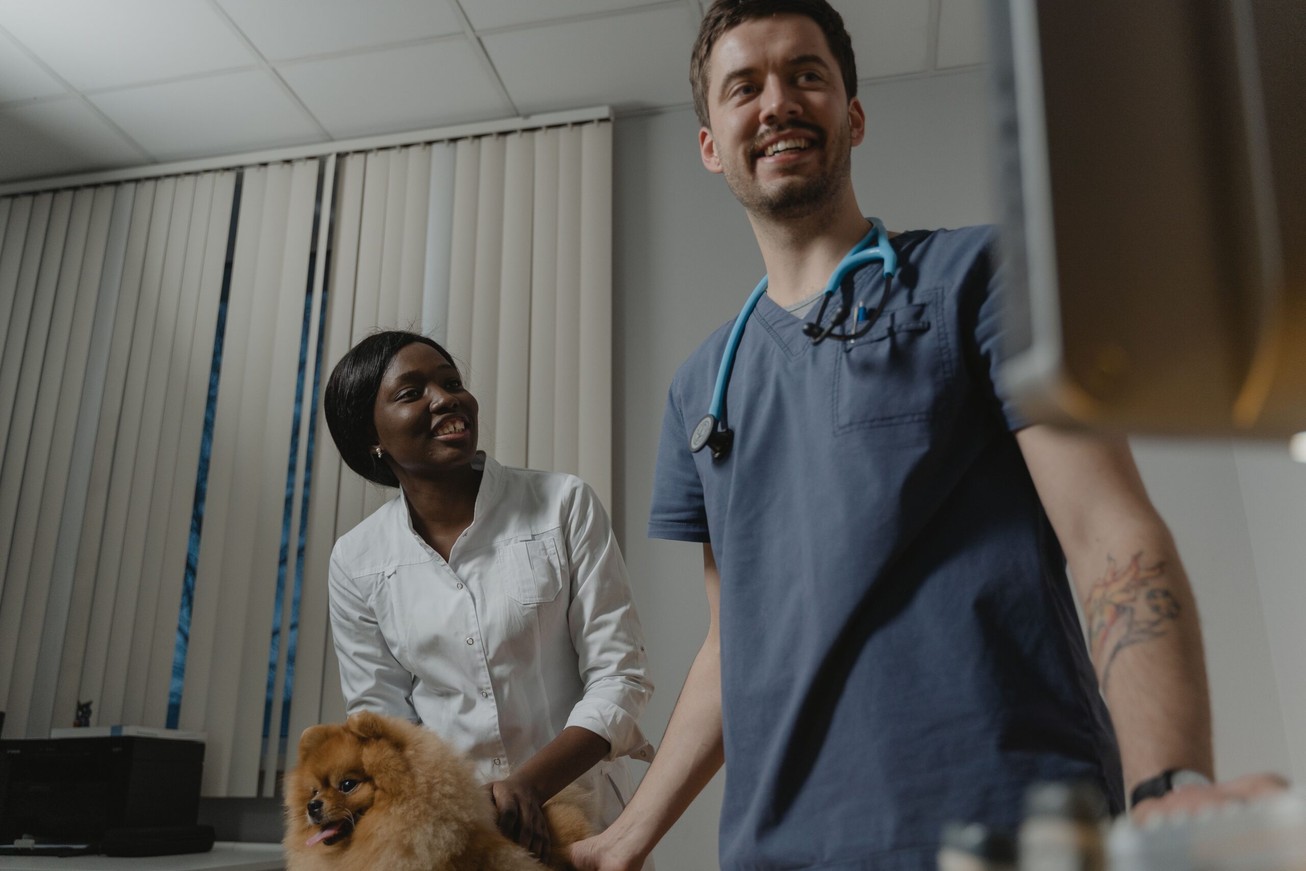 pet owner discussing affordable vet care options