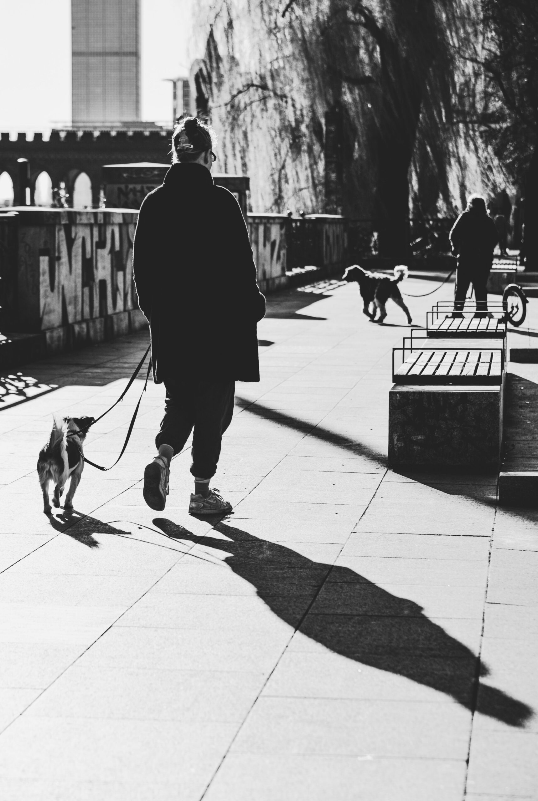 Walking a dog on a city street for free daily exercise