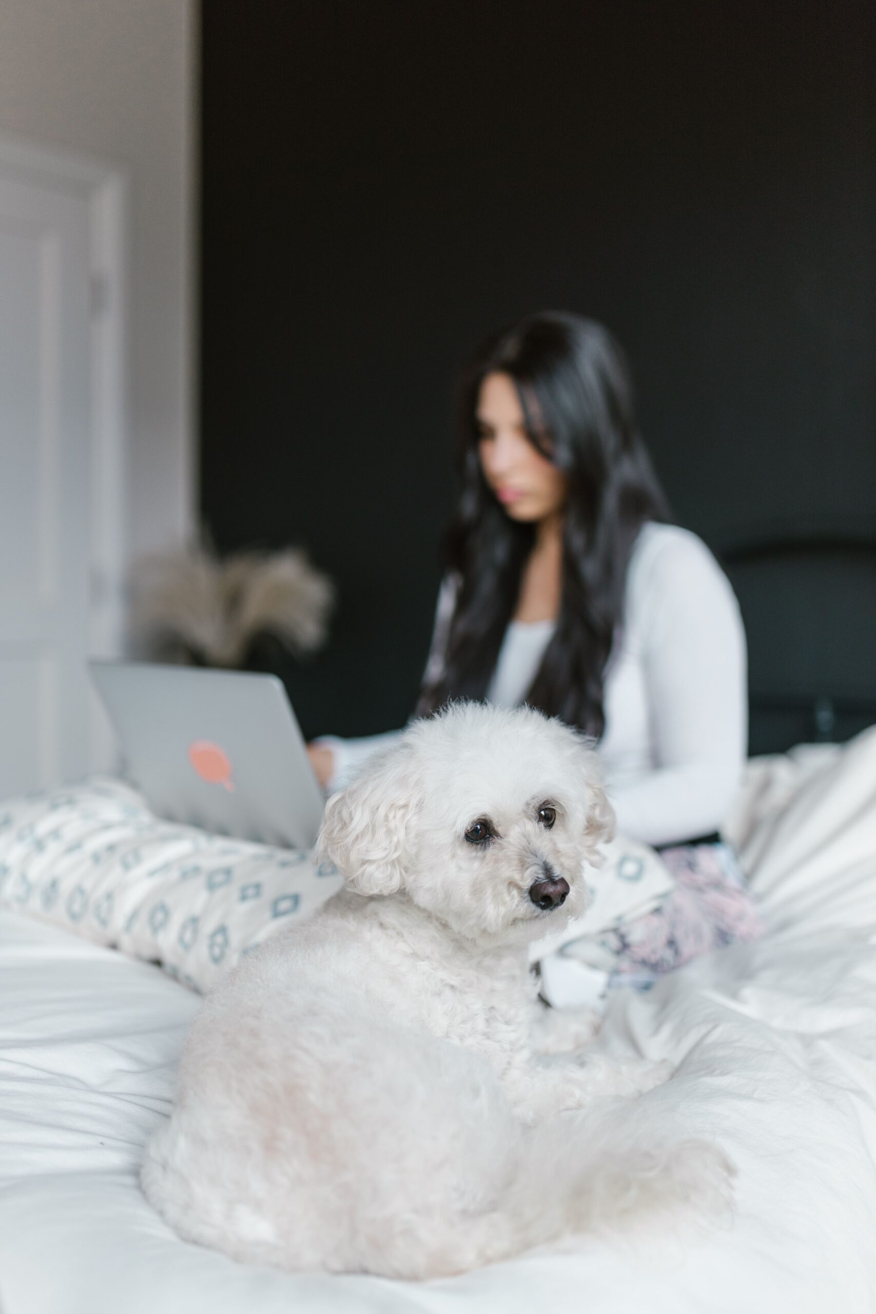 Washable bedding chosen for a pet-friendly bedroom